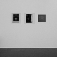 Manifesta 8 :: Jeleton 